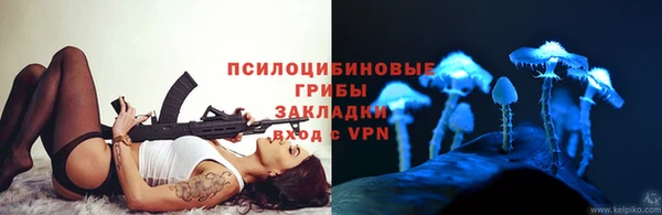 спайс Беломорск