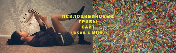 тгк Белокуриха