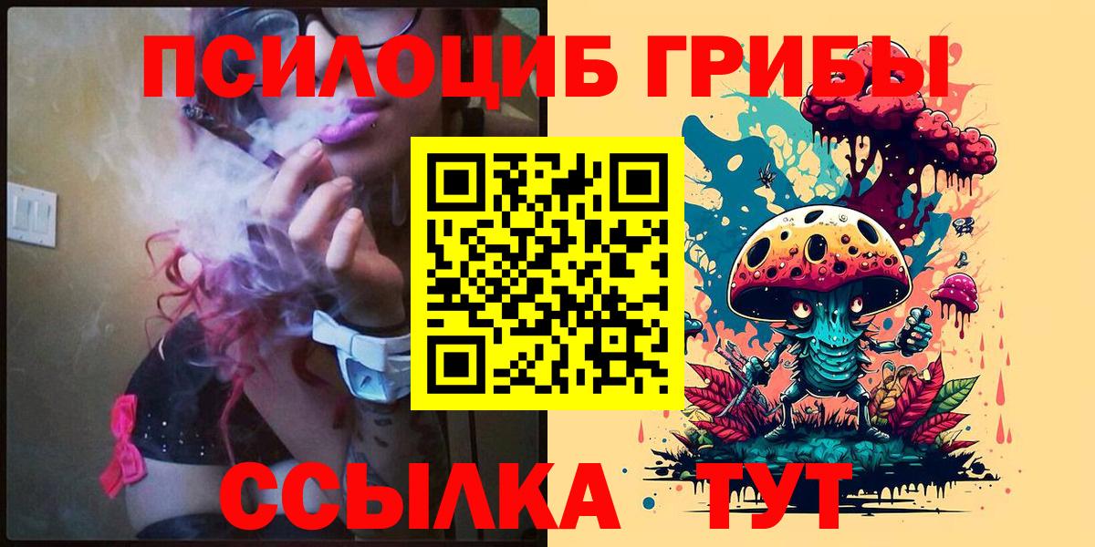 Галлюциногенные грибы MAGIC MUSHROOMS  Вход с VPN  Гулькевичи  Галлюциногенные грибы Psilocybine cubensis 