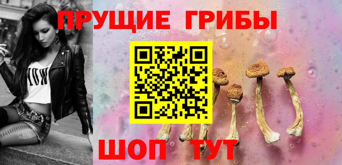 Галлюциногенные грибы прущие грибы Гулькевичи